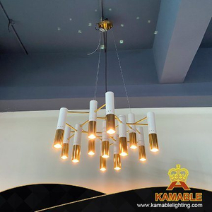 مصباح قلادة من الفولاذ المقاوم للصدأ لإضاءة غرفة المعيشة (PT302)