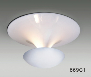 اللون الأبيض الكربون الصلب المقيم ضوء السقف (669C1)