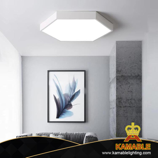 أضواء السقف LED السداسية الديكور الصلب (KA88013S-1)