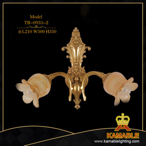 ضوء جدار زهرة ديكور داخلي (TB-0935-2)
